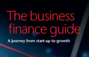Free business finance guide, ICAEW, British Business Bank