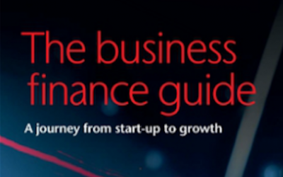 FREE Business Finance Guide