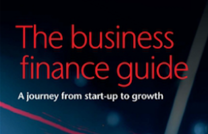 FREE Business Finance Guide
